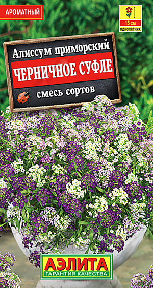 <div>
 Семена Алиссум Черничное суфле, смесь сортов.
</div>
 Популярное почвопокровное растение с изумительным ароматом. Кустики компактные, густоветвистые, высотой 10-15 см. Цветение пышное на протяжении всего сезона. Растения холодостойкие, светолюбивые, не требуют особого ухода, растут быстро, зацветают уже через 30-40 дней после всходов. Используется возле мест отдыха, на альпийских горках, для подбивки цветников и окантовки клумб. Отлично смотрится в подвесных корзинах и балконных ящиках. Прекрасный медонос.<br>
 Предпочитает легкие, дренированные почвы с нейтральной кислотностью. Не любит переувлажнения. Для раннего цветения выращивают рассаду – посев в марте, высадка рассады в конце апреля – начале мая.<br>