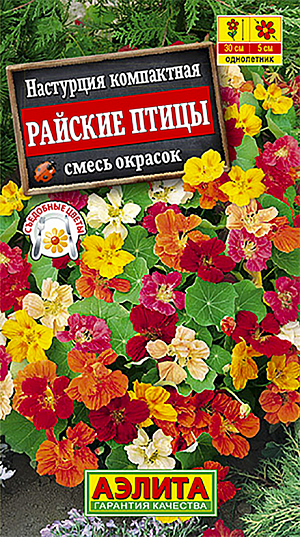 Семена Настурция Райские птицы смесь окрасок.
Компактное травянистое обильноцветущее растение. Кустики диаметром 25-35 см с тонкими, ветвистыми стеблями, усыпаны многочисленными цветками O4-6 см. Цветение раннее, продолжительное, с июня и до заморозков. Растения тепло- и светолюбивые, неприхотливые в уходе. Способны расти в небольших объемах земли, и отлично подходят для выращивания в контейнерах, балконных ящиках, подвесных корзинах и кашпо. Хорошо смотрятся на клумбах и в бордюрах. Агротехника. Посев непосредственно в грунт в конце мая-начале июня предварительно замоченными семенами по 3 штуки в лунку. Растениям необходимы своевременные поливы, прополки, рыхления и подкормки. Всходы прореживают. 