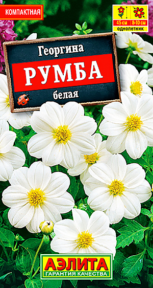 Семена Георгина Румба белая.
Однолетник Высота растения 45 см. Диаметр цветка 12 см. Dahlia variabilis Компактная, низкорослая, крупноцветковая георгина. Кустики высотой до 45 см, соцветия простые, диаметром 10-12 см. Цветение очень пышное, продолжительное, с июля до заморозков. Растения тепло- и светолюбивые, хорошо развиваются на богатых, плодородных почвах. Отлично смотрятся в контейнерной культуре, на клумбах, в бордюрах и рабатках. Агротехника. Посев. Выращивают рассадным способом с пикировкой сеянцев в фазе двух-трех настоящих листьев. Рассаду высаживают в открытый грунт, когда минует опасность заморозков. К концу вегетации образует корнеклубни, которые можно заложить на хранение и использовать для посадки в следующем сезоне. Растениям необходимы регулярные поливы, прополки,рыхления и подкормки.