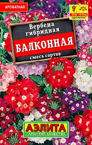 Семена&nbsp;Вербена Балконная смесь.&nbsp;Великолепная смесь с обильным и длительным цветением. Кустики компактные. Цветки ароматные. Растения неприхотливые, холодо- и засухоустойчивые. Подходят для выращивания в горшках.