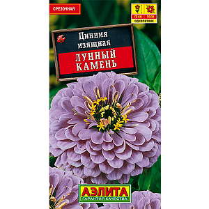 Семена Цинния Лунный Камень.
Эффектный сорт с очень крупными (O12-14 см) махровыми соцветиями. Кусты мощные, до 70 см в высоту, хорошо облиственные, с крепкими цветоносами. Хорошо переносят дождливую и ветреную погоду. Цветение раннее и продолжительное, с июня до первых заморозков. Растения теплолюбивые, засухоустойчивые, предпочитают солнечные места. Используются на клумбах, в рабатках, великолепно смотрятся в групповой посадке. Срезанные цветы долго стоят в воде. Агротехника. Выращивают рассадным способом. С развитием первой пары настоящих листочков сеянцы пикируют. В фазе 5-6 листьев проводят формирующую прищипку. Рассаду высаживают в открытый грунт, когда минует опасность заморозков. Растениям необходимы регулярные поливы, прополки, рыхления и подкормки. Возможен посев семян в открытый грунт на глубину 1 см. 