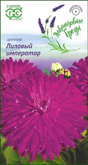 Семена Цинния Лиловый император.
Эффектная высокорослая цинния с лиловыми кактусовидными соцветиями 6-10 см в диаметре. 
Образует мощный, ветвистый от основания куст высотой 90 см. Цветение продолжительное и обильное с июля по сентябрь. 
Цинния светолюбива, засухоустойчива и теплолюбива. Выращивают рассадным способом. Семена высевают в апреле. 
Всходы появляются через 4-6 дней. 
В начале июня растения высаживают на расстоянии 30 см. Используется для озеленения и получения срезки.