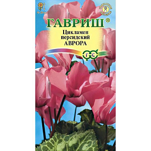 Семена Цикламен Аврора персидский