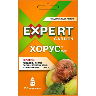 Хорус ВДГ