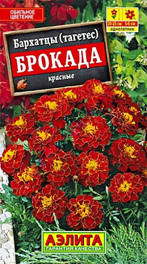 Бархатцы отклоненные Брокада красные из каталога Бархатцы Семена Бархатцы Брокада красные.<br>
<br>
Известный низкорослый сорт, пользующийся популярностью среди цветоводов всего мира. Ценится за обильное цветение и насыщенный махагоновый (красного дерева) оттенок цветков. Сорт отличается хорошим боковым ветвлением. Кустики плотные, густые, высотой 30-40 см. Цветоносы короткие. Соцветия – махровые корзинки диаметром 5-6 см. с симпатичным желтым хохолком. Сорт рекомендуется для оформления бордюров, садовых цветников, балконных ящиков и мобильных кашпо.<br>
*Высота растений зависит от условий выращивания.<br>
<br>
Бархатцы предпочитают солнечные участки с дренированными, плодородными почвами нейтральной кислотности. Растения теплолюбивые, быстрорастущие, взрослые – достаточно засухоустойчивые.<br>