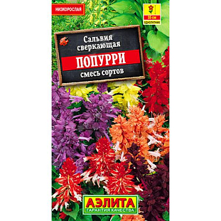 Сальвия Попурри Сальвия Попурри
