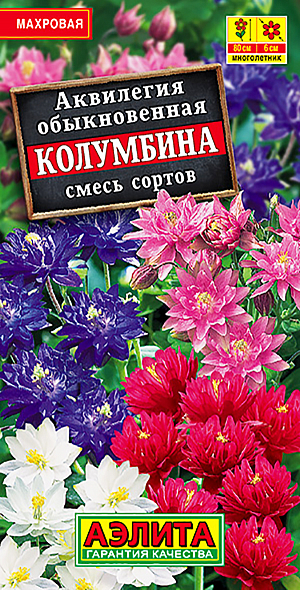 Семена Аквилегия Колумбина смесь окрасок.
Красивый многолетник с компактной формой куста, в пору цветения высотой 70 см. Махровые цветочки диаметром 5-6 см собраны в рыхлые метельчатые соцветия. Цветет в третьей декаде мая-июне, хорошо сочетается с папоротниками, ирисами, колокольчиками. Очень неприхотливое растение – холодостойкое, зимует без укрытия. Один из немногих многолетников, хорошо переносящих затенение. Для групп, миксбордеров, одиночной посадки вблизи мест отдыха, где можно в деталях рассмотреть уникальные цветки.
Агротехника. Посев в открытый грунт под зиму, в конце октября, либо весной стратифицированными семенами. Зацветает на второй год.
