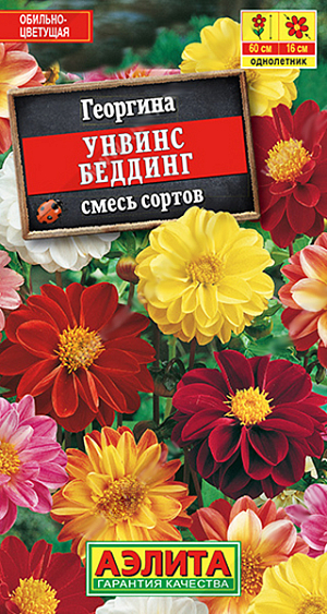 Семена Георгина Унвинс Беддинг смесь окрасок.
Яркая смесь среднерослых георгин с невероятно крупными (диаметром&nbsp;14-16 см) махровыми и полумахровыми соцветиями-корзинками. Кусты крепкие, высотой 50-60 см, с длинными прочными цветоносами. Цветение раннее, с июля до первых заморозков. Растения тепло- и светолюбивые. Используются для групповых и одиночных посадок в цветниках. Отлично подходят для срезки. Осенью можно выкопать клубни понравившихся растений и сохранить их до следующего сезона. 
Агротехника. Выращивают рассадным способом с пикировкой сеянцев в фазе двух настоящих листьев. Рассаду высаживают в открытый грунт, когда минует угроза заморозков. Георгина хорошо развивается на солнечных участках с плодородными почвами. Растениям необходимы регулярные поливы, прополки, рыхления и подкормки.