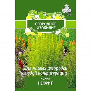 Кохия Нефрит Кохия Нефрит