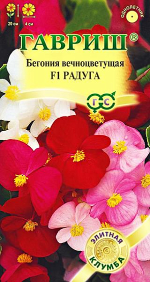 <div>
 Семена Бегония Радуга F1.
</div>
 <article>
<p>
 Яркая контрастная смесь вечноцветущей бегонии с темно-бронзовыми и изумрудно-зелеными листьями и цветами трех оттенков: красными, розовыми и белыми. Отлично растет как в открытом грунте, так и в качестве комнатного растения. Сильноветвистые кустики густой зелени с россыпью очаровательных цветков выглядят аккуратно весь сезон благодаря обильному цветению и способности к самоочищению (увядающие цветки сразу опадают).&nbsp; Для рабаток, клумб, балконных ящиков. При высадке сплошным массивом получаются интересные ковровые композиции.&nbsp;&nbsp;
</p>
<p>
 Семена высевают в начале марта, не заделывая, в неглубокие ящики с просеянной смесью листовой земли, торфа или песка (2:1:1). Посевы содержат под стеклом и до первой пикировки, равномерно увлажняют теплой водой с поддона. Пикируют в стадии 2-3 настоящих листочков. Бегонии хорошо переносят пересадку в любом возрасте, но при этом надо оберегать их хрупкие листья. До наступления заморозков кустик выкапывают, сажают в горшок, и переносят в зимнее помещение. На теплом солнечном окне бегония продолжает развитие и цветение, радуя вас долгую, холодную зиму.
</p>
 </article>