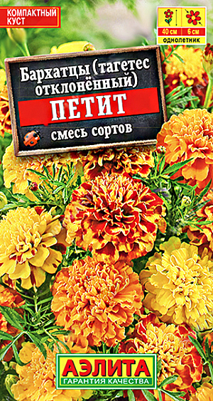 <div>
 Семена Бархатцы Петит отклоненные, смесь окрасок.
</div>
<p>
 Очаровательная&nbsp; обильноцветущая&nbsp; смесь с махровыми соцветиями&nbsp;диаметром 5-6 см. Кусты компактные, сильноветвистые, высотой 25-30 см. Растут быстро. Цветение раннее и продолжительное, до осенних заморозков. Растения отлично растут в небольшом объеме грунта и подходят для выращивания в садовых контейнерах и балконных ящиках. Широко используются для украшения клумб и бордюров.
</p>
<p>
 Посев.&nbsp;Выращивают рассадным способом. В фазе одного-двух настоящих листьев сеянцы пикируют. Рассаду высаживают в открытый грунт, когда минует опасность заморозков. Растениям необходимы регулярные поливы, прополки, рыхления и подкормки. Возможен посев семян в открытый грунт на глубину 1 см.<br>
</p>
 <br>
 <br>