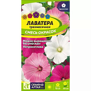 Лаватера Смесь окрасок Лаватера Смесь окрасок
