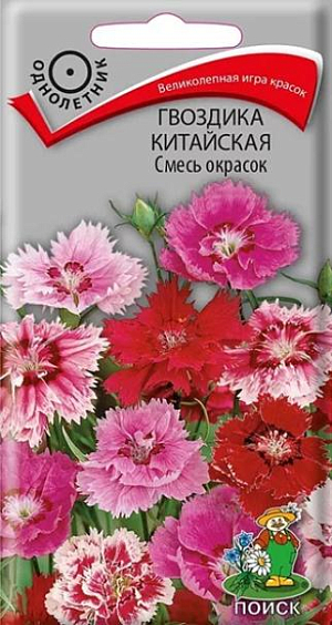 Семена&nbsp;Гвоздика Китайская Смесь окрасок. Растение с тонкими, узловатыми стеблями, высотой 30см. Цветки собраны в небольшие соцветия-щитки. Края лепестков звездчато-рассеченные. Окраска белая, розовая, красная, тёмно-красная. Цветение обильное, продолжительное. Используют для оформления цветников, бордюров, балконов и на срезку.<br>
 <br>
 &nbsp;Агротехника. Неприхотливое холодостойкое растение, предпочитает солнечное местоположение, легкие плодородные почвы, обильный полив без застоя воды. Хорошо отзывается на подкормки минеральными и органическими удобрениями. Посев производят в конце марта – начале апреля в рассадные ящики, семена слегка присыпают легкой землей. При температуре +18-20°C время от посева до всходов 7-14 дней. Высаживают рассаду в открытый грунт, когда минует угроза заморозков, выдерживая расстояние между растениями 15 см.<br>