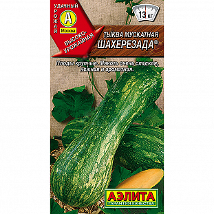 Семена Тыква мускатная Шахерезада