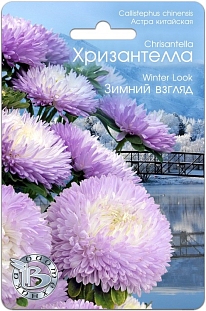 Семена Астра китайская Хризантелла Зимний взгляд