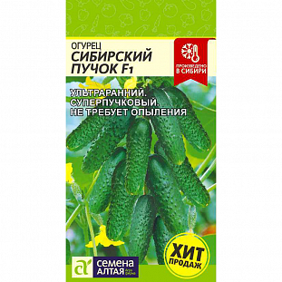 Семена Огурец Сибирский Пучок F1