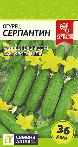 Семена Огурец Серпантин