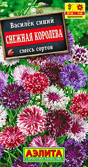 Семена Василёк Снежная королева смесь окрасок.
Низкорослая смесь быстрорастущего неприхотливого однолетника. Кустики изящные, прямостоячие, высотой до 30 см, несут большое количество ажурных соцветий-корзинок. Цветение раннее, обильное и продолжительное, с июня и до заморозков. Растения холодостойкие, засухоустойчивые, предпочитают солнечное местоположение. Подходят для выращивания на клумбах и в цветниках, в бордюрах, хорошо растут в контейнерной культуре. Срезанные соцветия сохраняют декоративность в течение 5-7 дней. Растение – отличный медонос и обладает рядом лекарственных свойств.
Агротехника. Посев семян в открытый грунт на глубину 0,5-1 см. Всходы прореживают. Растениям необходимы регулярные поливы, прополки, рыхления и подкормки. Для более раннего цветения возможен подзимний посев в конце октября.