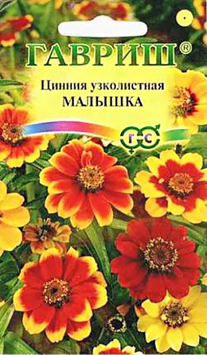 Семена Цинния Малышка<br>
 <br>
 Однолетние, прямостоячие, хорошо разветвленные растения высотой до до 40 см, листья сидячие, удлиненные или ланцетовидные. Соцветия, простые или полумахровые, размером до 4 см, разнообразных окрасок. Цветет все лето, с июня до заморозков. Каждый цветок держится на растении до 35 дней Циннии очень теплолюбивые, боятся заморозков. Предпочитают плодородную почву на открытых солнечных местах. Отзывчивы на полив, при длительной засухе соцветия мельчают. Посев на рассаду в апреле, на глубину 1 см. Высадка растений в цветник производится после окончания весенних заморозков через 30-35 см. Используют в клумбах, рабатках, больших массивах и для срезки. В воде цветы стоят долго, сохраняя яркость окраски, при этом концы стеблей обжигают или обрезают в горячей воде. Подвядшему букету цинний можно вернуть свежесть, поместив его в горячую воду и предварительно обновив нижний косой срез.<br>