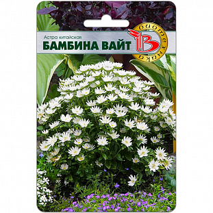 Семена Астра Бамбина Вайт китайская