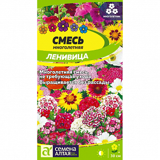 Семена Смесь "Ленивица многолетняя" низкая Семена Смесь "Ленивица многолетняя" низкая
