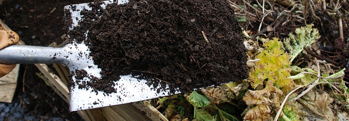 Компостная куча осенью: как превратить гору ботвы и листьев в черное золото к новому сезону? Лайфхаки быстрого приготовления Компостная куча осенью: как превратить гору ботвы и листьев в черное золото к новому сезону? Лайфхаки быстрого приготовления