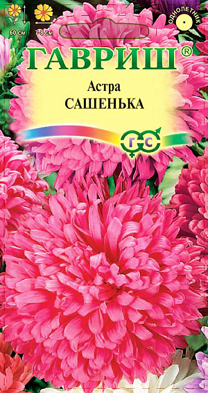 Семена Астра Сашенька.
Относится к сортотипу Воронежские. Сорт ранний, зацветает на 85-88 день после появления всходов. Растение компактное, высотой 60 см, букетного типа, форма куста колоновидная. На растении одновременно цветут до 25 махровых ярко-розовых соцветий диаметром 7-8 см. В начале цветения язычковые цветки скручены в трубку, затем приобретают ладьевидную форму. Для выращивания подходят хорошо освещенные участки с плодородной суглинистой или супесчаной почвой. Выращивают, чаще всего, рассадным способом. Семена высевают в марте-апреле, пикируют с развитием первой пары настоящих листочков по схеме 5х5 см, в открытый грунт рассаду высаживают с середины мая до начала июня. Возможен подзимний посев астр в конце октября на глубину 5-8 см с последующим мульчированием торфом или опилками. Используется для получения срезки и декоративного оформления участка.