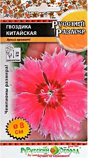 Семена Гвоздика китайская Русский размер.<br>
 <br>
 Многочисленные побеги усыпаны невероятно крупными, диаметром до 8 см, цветками. Ценится не только за размер цветка, но и за обильное, продолжительное цветение с июня по октябрь. Зацветает через 3 месяца от посева. Украсит клумбы, рабатки, балконы.<br>
 <br>
 Высота растения 20 см. Период цветения июнь-октябрь.<br>