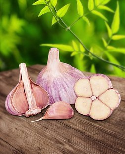 Чеснок озимый Валдайский 10 шт