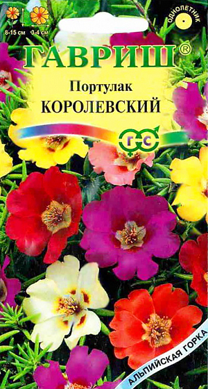 Семена Портулак Королевский.
Однолетнее растение семейства Портулаковые со стелющимися сочными стеблями. Высота растения 8-15 см. Цветки крупные, очень яркие, разнообразной окраски, широко открытые, диаметром 3-4 см, простые. Цветки открываются только в ясные, солнечные дни. Цветет с июля до заморозков. Высевают в марте-начале апреля. На постоянное место высаживают после окончания весенних заморозков, выдерживая расстояние между растениями 15-25 см. Широко используется для бордюров, в массивах, на каменистых горках, в вазах, горшках и балконных ящиках.