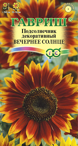 <div>
 Семена Подсолнечник декоративный Вечернее солнце.
</div>
Однолетнее декоративное растение из семейства Астровые. Стебель прямостоячий, ветвистый, высотой от 250 см и выше. На растении распускается 4-6 соцветий бордовой или коричнево-красной окраски, иногда с кремово-палевым кругом у центра или на кончиках лепестков. Цветет с июля по сентябрь. Засухоустойчив и теплолюбив, предпочитает солнечные участки с плодородной рыхлой почвой. Выращивают прямым посевом в открытый грунт в апреле-мае по схеме 30 х 40 см, по 2-3 семечки на глубину 2-5 см. Всходы переносят заморозки до -6°C. Используется для срезки и создания живой изгороди.