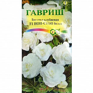 Семена Бегония Нон-Стоп белая клубневая F1