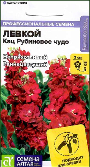 Семена Левкой махровый Кац Рубиновое чудо<br>
 <br>
 Необычайно красивый сорт, предназначенный, прежде всего, для получения роскошной срезки. Левкой Katz - это неповторимый аромат и длительное цветение. Серия отличается выравненностью по высоте и времени зацветания между различными окрасками, устойчивостью к жарким погодным условиям. Растение образует куст высотой 60-80 см. Крупные махровые цветки ярко-розовой окраски собраны в кистевидные соцветия и обладают тонким чарующим ароматом. Применяется для высадки в цветники, рабатки, вазоны и контейнеры, для посадки вдоль бордюров, используется при озеленении балконов и для срезки. Светолюбивое, холодостойкое растение. Предпочитает открытые солнечные, хорошо проветриваемые участки с умеренно влажными рыхлыми суглинистыми почвами с примесью извести. Не выносит застоя влаги и свежей органики. Выращивают как рассадным способом, так и прямым посевом семян в открытый грунт.<br>