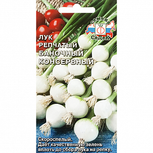 Семена Лук Баночный консервный репчатый