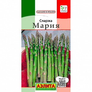 Спаржа Мария (2026; 36.04.01 /4) Спаржа Мария (2026; 36.04.01 /4)