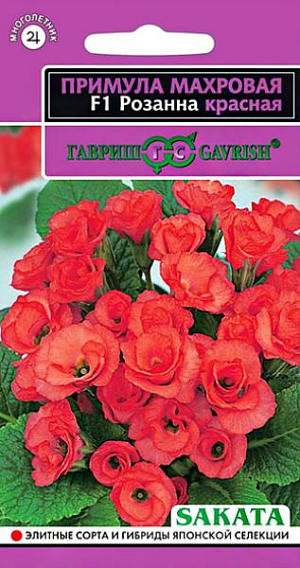 Семена Примула махровая Розанна красная F1<br>
 <br>
 Травянистое многолетнее растение, одно из самых раннецветущих, относится к семейству Первоцветные. Образует компактный и очень выровненный кустик высотой 15 см. Листья прикорневые, цельные. Цветки крупные, полностью махровые, красного оттенка, похожие на небольшие розочки. Хорошо растет и обильно цветет в полутенистых местах, на удобренной, достаточно увлажненной почве. Легко переносит пересадку даже во время цветения.&nbsp;<br>
