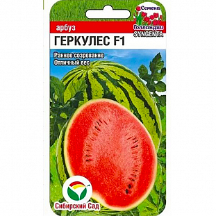 Семена Арбуз Геркулес F1
