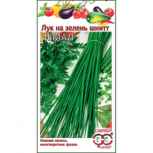 Семена Лук шнитт Чемал на зелень