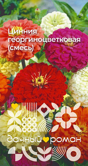 Семена Цинния георгиноцветковая (смесь)

Эта красочная смесь цинний покорила сердца многих цветоводов. Считается одной из самых высокорослых и крупноцветковых цинний. Растение мощное, стройное, ветвистое от основания. Соцветия густомахровые, диаметром до 10-14 см. Теплолюбива. Используют для оформления клумб и массивных посадок. В срезке очень долго сохраняет свежесть и декоративность. Можно высевать в грунт весной.