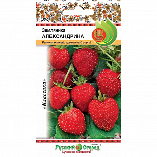 Семена Земляника (клубника) Александрина