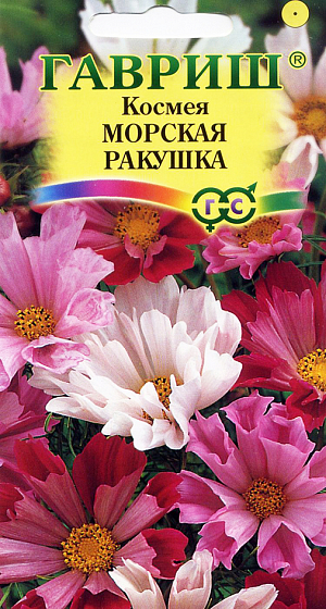 Семена Космея Морская ракушка.
Однолетнее сильноветвящееся растение из семейства Астровые высотой 50-100 см. Цветет обильно с июля до заморозков. 
Соцветия ромашковидной формы крупные (10-12 см в диаметре) белой, розовой, красной, бордовой окраски. 
Лепестки оригинально свернутые, по форме напоминают морские ракушки. Холодостойка и светолюбива, относительно засухоустойчива.
К почвам нетребовательна, предпочитает рыхлые, умеренно плодородные почвы. Выращивают прямым посевом в грунт в конце апреля-начале мая, либо под зиму. 
Используется для посадки на клумбах, в миксбордерах для декорирования оград и стен зданий.