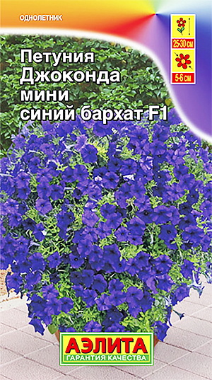 Семена Петуния Джоконда мини синий бархат F1.<br>
 Гибрид формирует растения с аккуратным компактным кустом высотой 25-30 см. Куст сохраняет привлекательность на протяжении всего сезона, никогда не оголяется по центру, поскольку обладает генетической способностью хорошо ветвиться от самого основания. Богатейшее цветение достигается благодаря гену мужской стерильности: растения не образуют семян, но стремятся к этому, продуцируя все больше и больше цветов Ш 5-6 см. Даже попав под небольшой заморозок, быстро восстанавливается и неутомимо цветет. Цветки не травмируются сильным ветром, устойчивы к дождям. Гибрид украсит солнечные и слегка затененные цветники, садовые контейнеры, балконные ящики. <br>
Агротехника. Посев на рассаду с февраля до апреля. Семена в гранулах! Посев поверхностный, без заделки (семена прорастают на свету!), под стекло или пленку для сохранения постоянной влажности до полных всходов. Гранулы при посеве должны раствориться! Февральским посевам требуется дополнительная подсветка. Всходы появляются на 5-6 день. Пикировка в фазе 1-2-х настоящих листьев. Высадка в грунт закаленной рассады в конце мая. Поддерживая оптимальные условия выращивания (11-ти часовой световой день и температуру 20-22°С), можно сохранить растения цветущими круглый год. Для продолжительного и обильного цветения растениям необходим своевременный полив, регулярная прополка, рыхление и подкормка минеральными удобрениями.