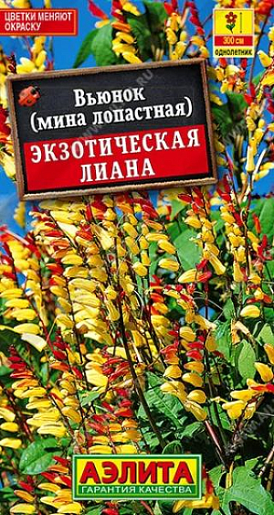 Семена Вьюнок Экзотическая лиана. Необычный, очень эффектный, вьющийся однолетник с оригинальными соцветиями длиной 15-25 см. Цветки меняют окраску по мере роспуска. Растения обвивают любые опоры на высоту до 3-х метров. Используются для декорирования стен, оград, пергол, балконов и всевозможных ширм. Растения теплолюбивые, предпочитают солнечные места и легкую, дренированную почву.<br>
Декоративное, вьющиеся растение, достигает длины 3 м, с легкостью сможет обвить любую опору. Цветки многочисленные, сначала красные, а позже жёлто-красные, собраны в пышные соцветия. Цветет с конца июля до заморозков. Семена на рассаду высевают в марте. Подросшие растения высаживают в открытый грунт в мае-июне на расстоянии 50-60 см. Выращивается в открытом грунте для декорирования беседок, балконов и изгородей. Для продолжительного и обильного цветения растениям необходим своевременный полив, регулярная прополка, рыхление и подкормка.