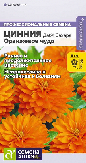 Семена Цинния Дабл Захара Оранжевое чудо.<br>
<br>
Крайне неприхотливая, засухоустойчивая и выносливая цинния, формирующая небольшие хорошо ветвящиеся кустики. Характеризуется очень длительным цветением, высокой устойчивостью к заболеваниям и неблагоприятным погодным факторам. Наибольшей декоративности достигает в прохладную солнечную погоду. Цветки махровые, плотно набитые, оранжевой окраски, долго сохраняют декоративность. Отлично подойдут для клумб, контейнерных посадок и цветочных композиций.<br>
<br>
<br>
  Высота растения: 40-50 см. Ширина куста: 40-50 см. Диаметр цветка: 4-5 см. Условия выращивания, место посадки: солнечные участки, защищенные от ветра. Требования к грунту: питательный легкий грунт с нейтральной реакцией среды. Способы выращивания: рассадный, безрассадный. Время посева на рассаду: март-апрель.Время посева в грунт: апрель-май.<br>
<br>
 Способ посева: семена высевают на уплотненное ложе увлажненного грунта, заделывая на глубину 0,3-0,6 см. Увлажняют из опрыскивателя. Емкость накрывают прозрачной крышкой или пленкой до появления первых всходов, периодически проветривают. При раннем посеве на рассаду обеспечивают досветку 8-10 часов и температуру 22-25°С.<br>
 Время до появления всходов: 3-7 дней<br>
 Перевалка: при появлении 1-2 пар настоящих листьев, через 2-3 недели от появления всходов. Объем индивидуальных емкостей при доращивании не менее 0,5 л<br>
 Время высадки в открытый грунт: апрель-май, около 8-9 недели от появления всходов<br>
 Посадочное расстояние: 20-25 см<br>
 Период цветения: май-сентябрь<br>
 Уход: первую подкормку комплексным минеральным удобрением проводят через 5 дней после перевалки в отдельные емкости. Далее – 1 раз в 14-20 дней. Рекомендуется удалять увядшие соцветия. При проведении периодических обработок регуляторами роста формирует компактные кустики, но цветение при этом становится менее махровым.<br>
<br>
<b> Внимание! </b>Семена коатированные, оболочку не разрушать, она растворяется при поливе!