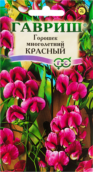 Семена Горошек многолетний красный.
Многолетнее растение семейства Бобовые с лазающими стеблями высотой 0,5-1 м. Цветение обильное с июня по август. Цветки красные, собраны в изящные кисти по 3-10 цветков. Холодостойка, светолюбива, предпочитает легкие и средние плодородные, хорошо дренированные почвы. Зимует без укрытия. Семена высевают в мае-июне на постоянное место. Семена перед посевом желательно прорастить. Используется для оформления участка, озеленения балконов и ваз, получения срезки (срезанные соцветия хорошо сохраняют свежесть в воде и используются в букетах).