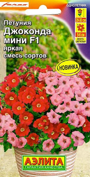 Семена&nbsp;Петуния Джоконда мини яркая F1.&nbsp; Кусты компактные, ветвистые, высотой 20-30 см. Цветки&nbsp; диаметром 5-6 см, не травмируются дождями и сильным ветром. Растения выдерживают кратковременные заморозки до – 5 °С и экстремальную жару. Они не завязывают семена, а направляют всю силу на образование новых цветков. Идеальны для контейнерной культуры, подходят для клумб и рабаток.<br>
 <br>
Семена в гранулах! Гранулы располагают на поверхности почвы, не заделывая их, хорошо увлажняют из распылителя. При попадании влаги на гранулу оболочка должна раствориться. Посевы накрывают стеклом для сохранения постоянной влажности до полных всходов. Февральским посевам требуется дополнительная подсветка.
