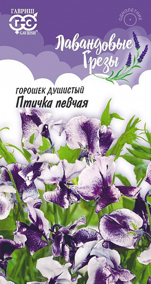 Семена Душистый горошек Птичка певчая<br>
 <br>
 Радующий многообразием сочных оттенков, приятным волнующим и насыщенным ароматом, горошек душистый позволит быстро создать невероятно красочную и элегантную зеленую ширму, задекорировать беседку или забор. Цветки необычайно крупные, сиреневой окраски с легким оттенком лаванды и в крапинку, собраны в изящные кисти. Украшают своим цветением с июля по сентябрь. Светолюбив, влаголюбив и холодостоек, прекрасно себя чувствует на плодородных суглинистых и супесчаных почвах. Выращивают рассадным и безрассадным способом. Используют для вертикального озеленении. Срезанные цветки прекрасно сохраняют свежесть в воде, очаровательно и трогательно смотрятся в букетах.<br>