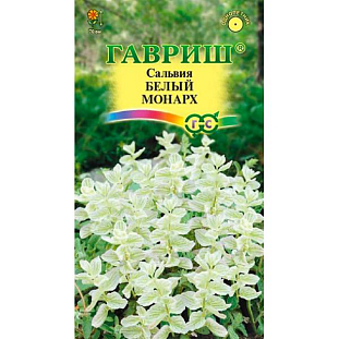 Сальвия Белый монарх Сальвия Белый монарх