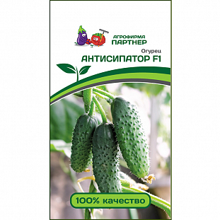 Семена Огурец Антисипатор F1