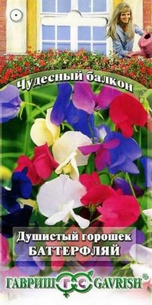Семена Душистый горошек Баттерфляй.
С горошком Баттерфляй любой балкон превратится в уютный благоухающий уголок. 
Сладкий и нежный аромат цветков «оживит атмосферу», поднимет настроение. С июня по сентябрь ваш балкон будет в веселом разноцветье.
Горошек - растение лазящее, нуждается в опоре. Опорой может служить решетка либо сетка, натянутая вертикально вдоль стены. 
Развиваются растения быстро, легко «завоевывая» высоту в 1,5-2 м. Цветки крупные, до 3-4 см, собраны в изящные кисти по 5-6 цветков с длиной цветоносов 20-25 см.
Горошек влаголюбив и холодостоек, предпочитает плодородные почвы. Выращивают семенами через рассаду (посев в марте-апреле) или прямым посевом в ящики в начале мая.
Всходы появляются через 10-14 дней. Расстояние между растениями 15-20 см. Семена перед посевом желательно прорастить.